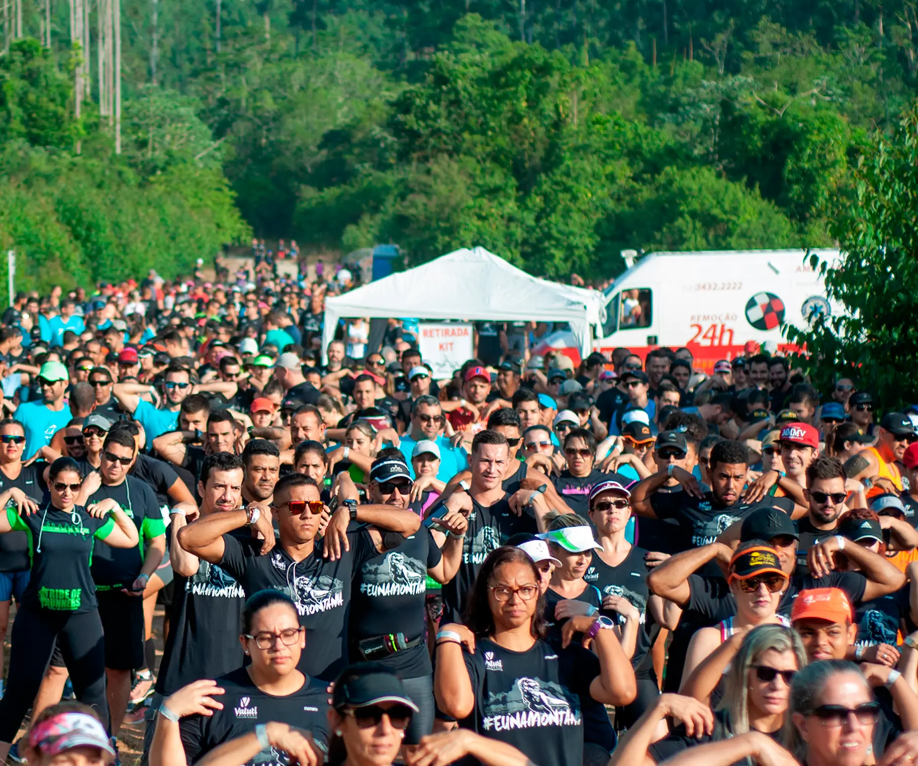 Etapa Etapa Tiranossauro Rex