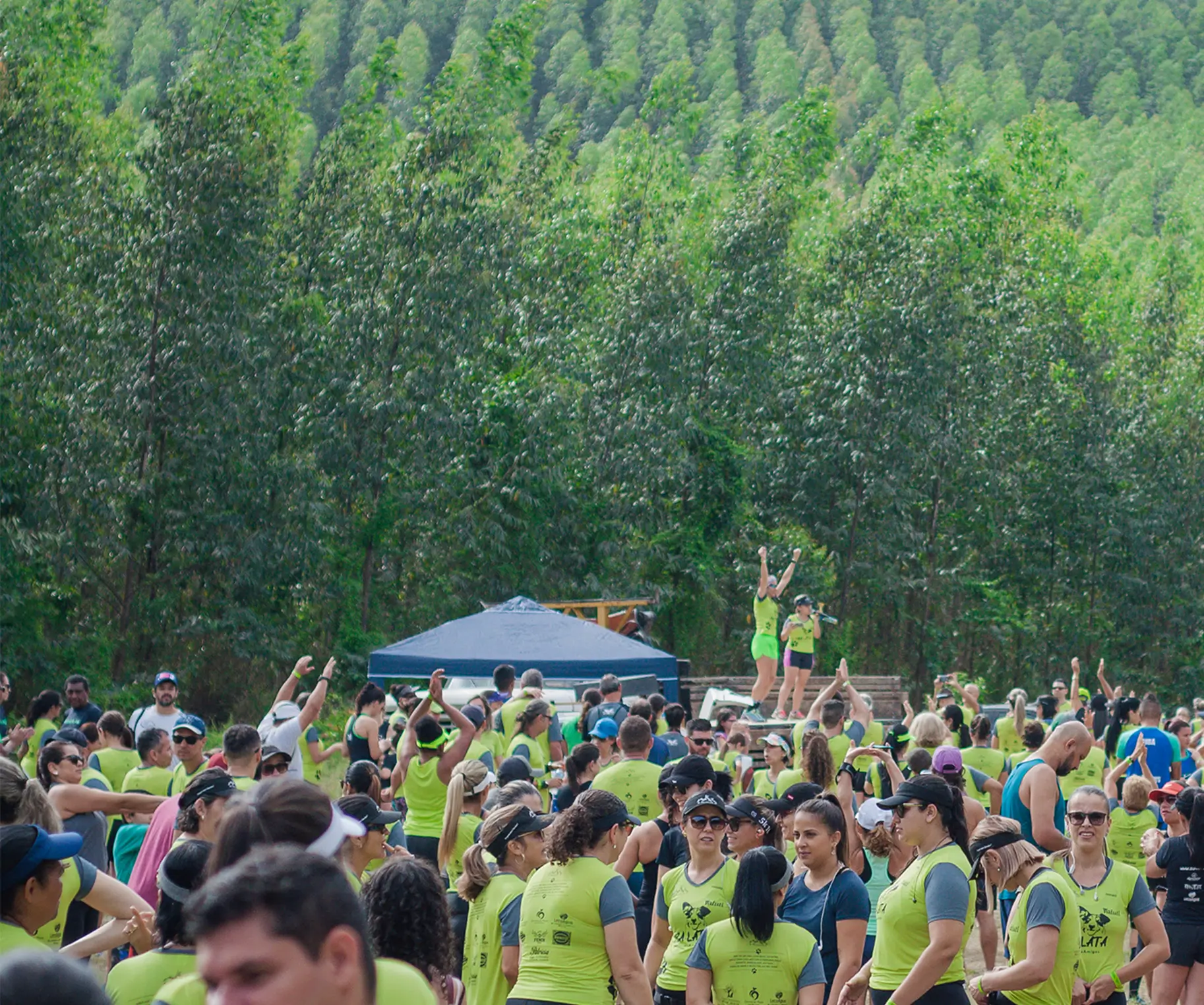 Etapa Etapa Vira-Lata